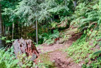 1.19 acre lot for hiking and exploration.