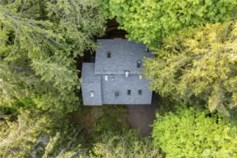Aerial view of the home nestled in the Harstene Pointe Island community. Almost zero yard maintenance with natural vegetation surroundings.