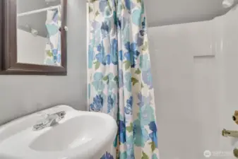 Lower level bathroom
