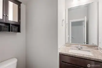 Downstairs Powder Room