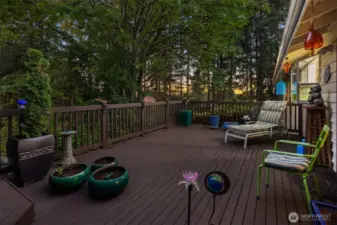 Relax in nature’s embrace from the upper deck surrounded by evergreens. Ideal for barbecues, quiet reading, or simply taking in the serene forest views.