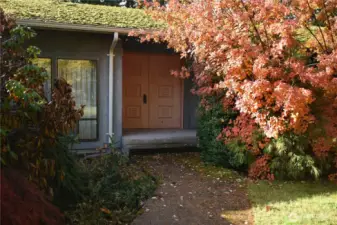 Covered, double door entry into this spacious, one level home. Sidewalk from driveway to formal entry. There are walkways around the home to the gated back yard area.