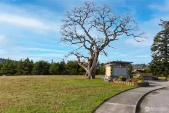 Common area mailboxes