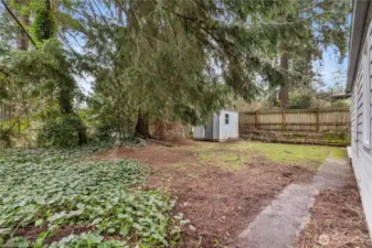 Clear the bushes and place a few DADU's