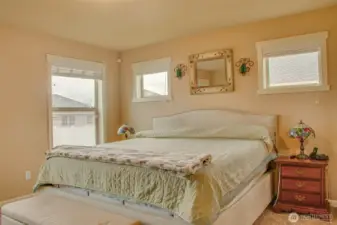 PRIMARY BEDROOM FROM ENTRY: One South-Facing Backyard View Window and Two West-Facing Windows with 2" Horizontal Vinyl Blinds; Comfortably Fits King Bed and Furniture, Carpet Flooring.