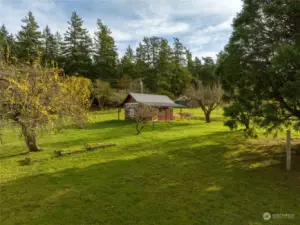 Farmstand from orchard, yurt in background