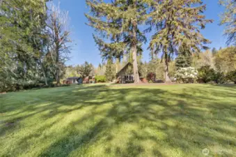 This is on Tacoma power property but the owners opt to mow this portion.