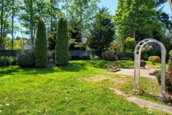 Back yard from the corner of the house