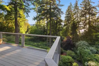 Spectacular serene views from the balcony.