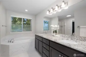 DUAL SINKS QUARTZ