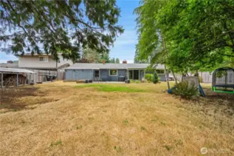 Large backyard
