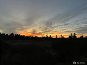 Sunset Backyard