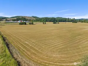 SW corner of property facing NE.