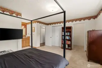 Main home primary bedroom with walk-in closet on right. Sink to left with entry to bathroom.