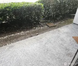 Back Patio