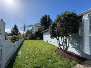 Step out into the spacious side yard from dining area.