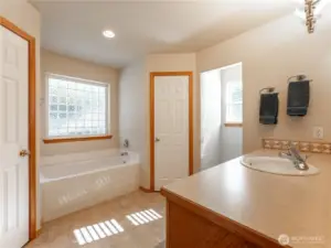 Primary bathroom