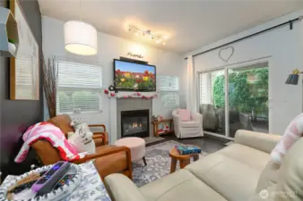 Sliding door off the great room/ family room to the patio.