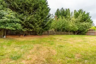 Large fenced backyard