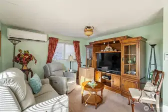Family Room w/ ductless heating and cooling