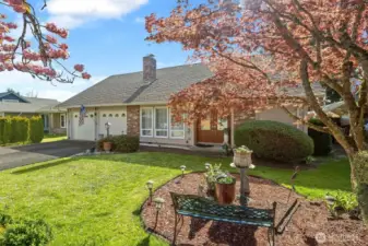 Front yard