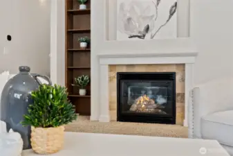 Gas Fireplace