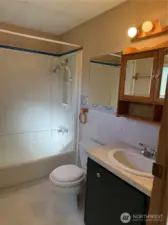 Full guest bathroom