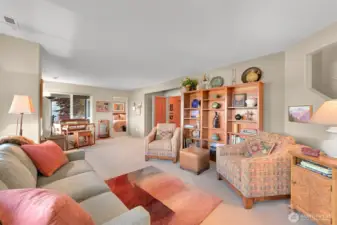 Lower Level Living Room