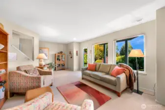 Lower Level Living Room