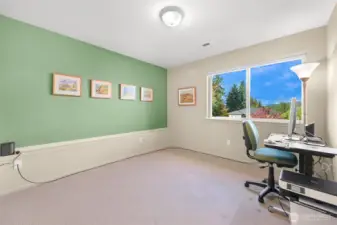 Lower Level Bedroom #4