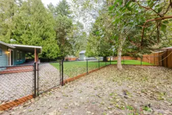 fully fenced dog run