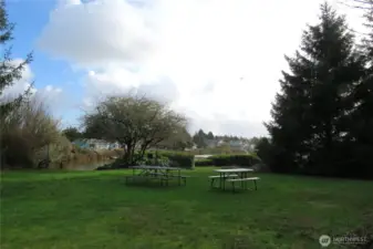 THE TWO LOTS WIDEN OUT TOWARD DUCK LAKE TO DISPLAY PLENTY OF ROOM FOR OUTDOOR ACTIVITIES.  BY THE WAY, THE PICNIC TABLES STAY WITH THE PURCHASE!