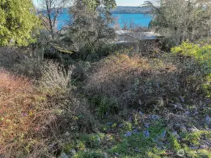 Trail down to cabin but the rest of the property has not been cleared.
