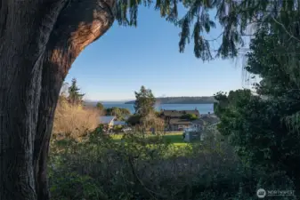 View from the bottom of the property.