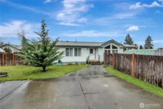 Concrete parking pad, with front yard space and healthy evergreen
