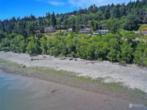 Driftwood Shores Beach w/ Sand, Crab, Salmon, Smelt, Whales and Privacy~