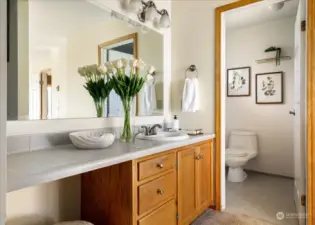 Master ensuite bathroom