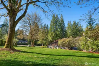 The home is situated on a corner, horse acre lot with multiple usable yard spaces.  Shown here from the Southwest side of the property is a large, level and gently sloping play space.