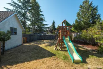 Apples line the left fence and blueberry bushes line the right!