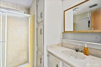 Primary Bath off Primary Bedroom Tub and shower