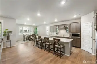 Extra large island with chef's dream kitchen loaded with high end appliances