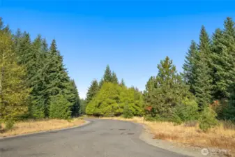 Jenkins Drive.