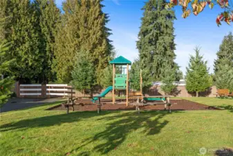 Community Park