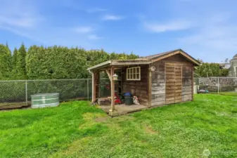 Garden Shed
