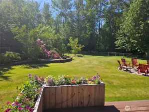 Garden and flowers in bloom