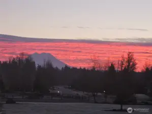 The one and only Mount Rainier