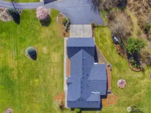 Upper view of Rambler