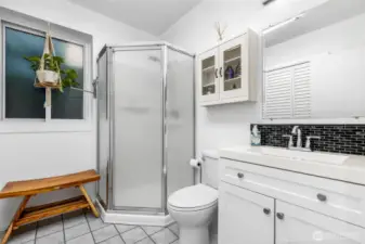 Lower level bathroom + laundry