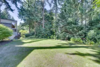 Plenty of yard to enjoy!