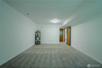 Flex room has plumbing stubouts on far wall - could make a great kitchen space for a MIL unit with level entry from the exterior of home!!